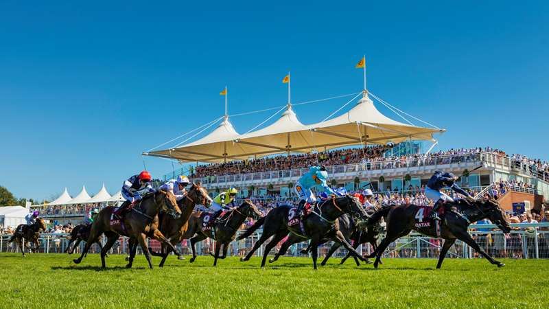 Racehorses galloping past the grandstand